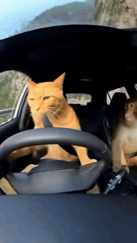 Best Driving Schools in Navi Mumbai